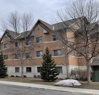 These ash trees in Moorhead, Minnesota, are infested with EAB. They could have been preemptively removed years ago, along with planting of new trees. Diversifying sooner, rather than later, is a good approach says NDSU Extension forester, Joe Zeleznik. (NDSU photo)