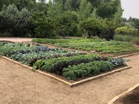 Esther McGinnis, NDSU Extension horticulturist, details the social, psychological, and health benefits of home and community gardening. (NDSU photo)