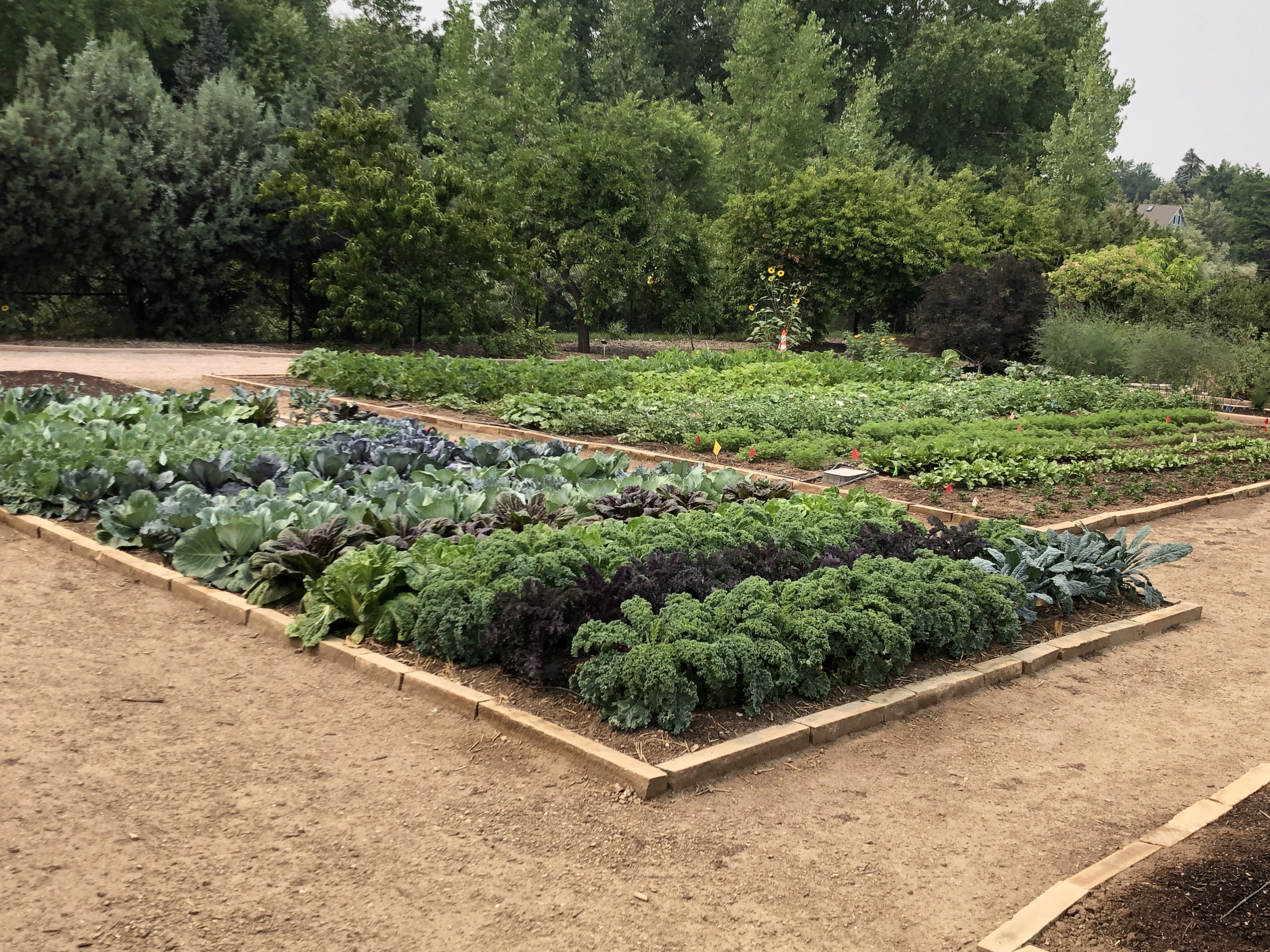 Esther McGinnis, NDSU Extension horticulturist, details the social, psychological, and health benefits of home and community gardening. (NDSU photo)