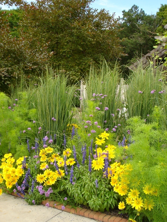 Little bluestem serves as a beautiful backdrop for flowering plants. (NDSU photo)