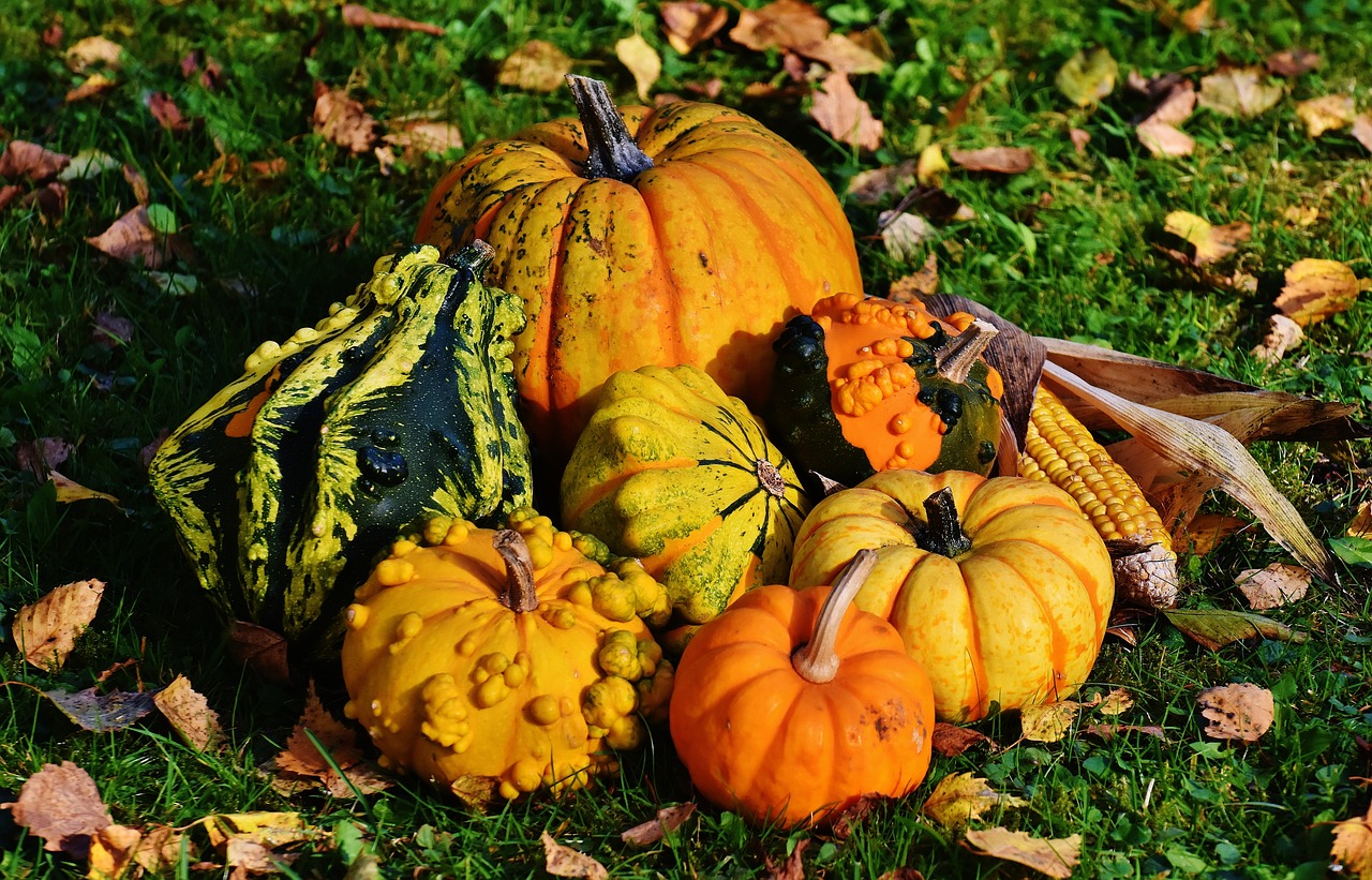 Though the focus is generally on pumpkins through the fall season, gourds also should be able to share the spotlight. (Pixabay photo)