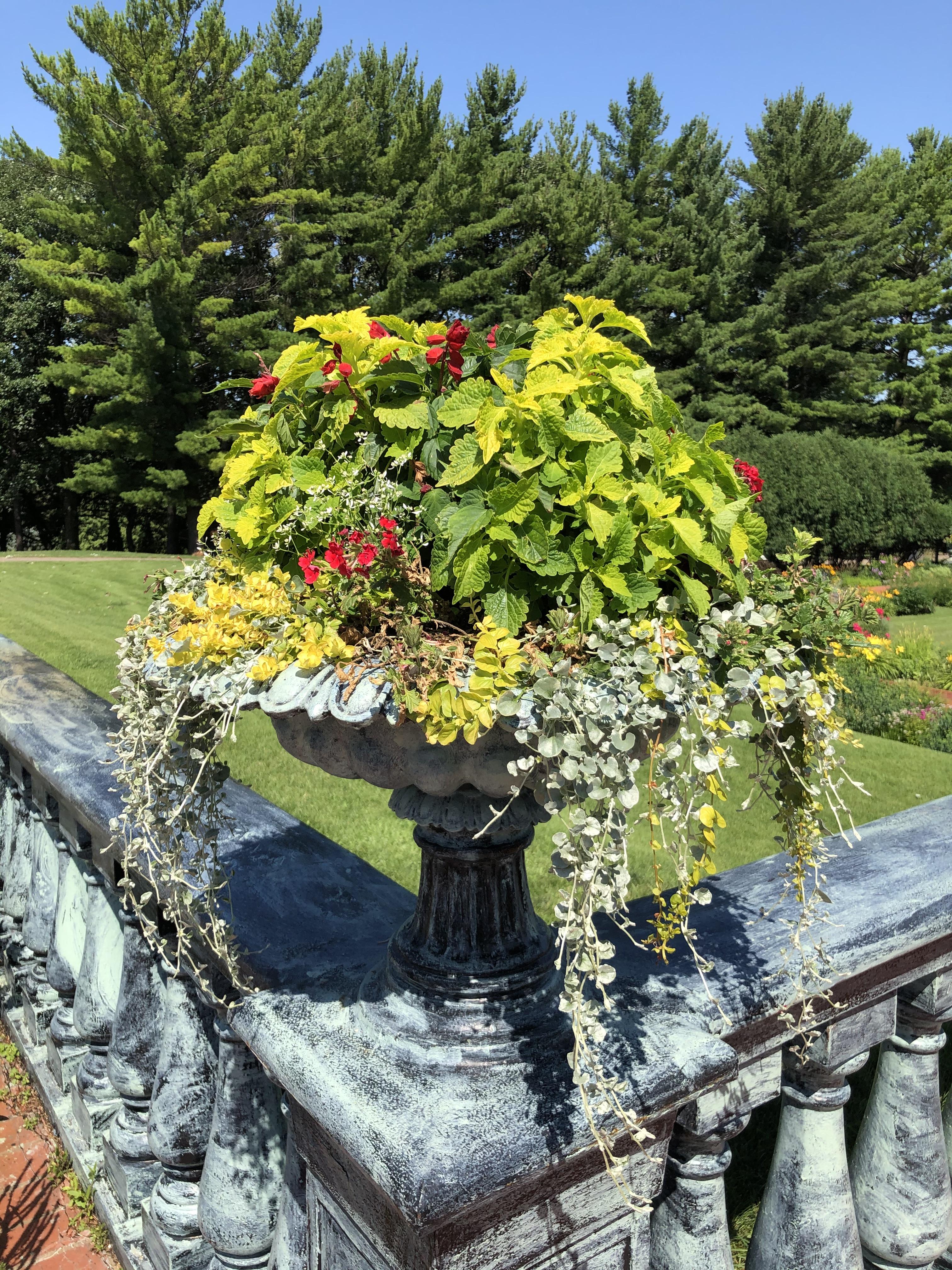 Urns such as this one are placed throughout the Clemens Gardens. (NDSU photo)