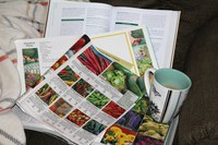 Browsing seed catalogs is a fun way to start planning your garden. (NDSU photo)