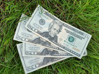 One of the ways to save money on lawn care is to spot-kill weeds versus applying herbicide to your whole lawn. (NDSU photo)