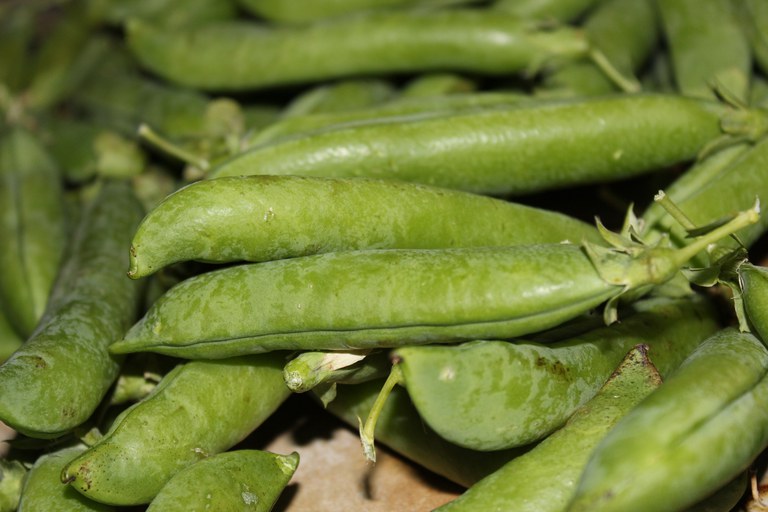 Snap peas let you enjoy the flavor of the peas without having to shell them. (Photo courtesy of Pixabay)