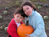 The Neon variety of pumpkin ripens early and is easy to grow. (NDSU photo)