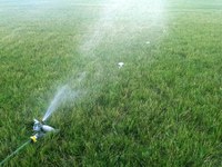 You can measure how much 1 inch of water is by setting a group of flat-bottomed cups at 5- to 10-foot intervals from the base of your sprinkler to the edge of its reach. Take note of the time an inch of water takes to fall in the cups. (NDSU photo)
