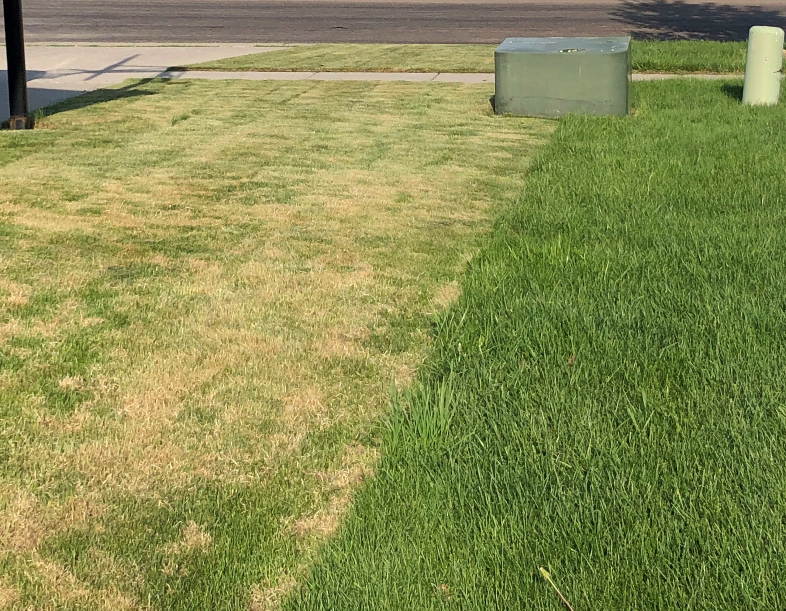 Mowing the lawn too short is stressful for the turfgrass and makes the lawn less drought-tolerant. (NDSU photo)