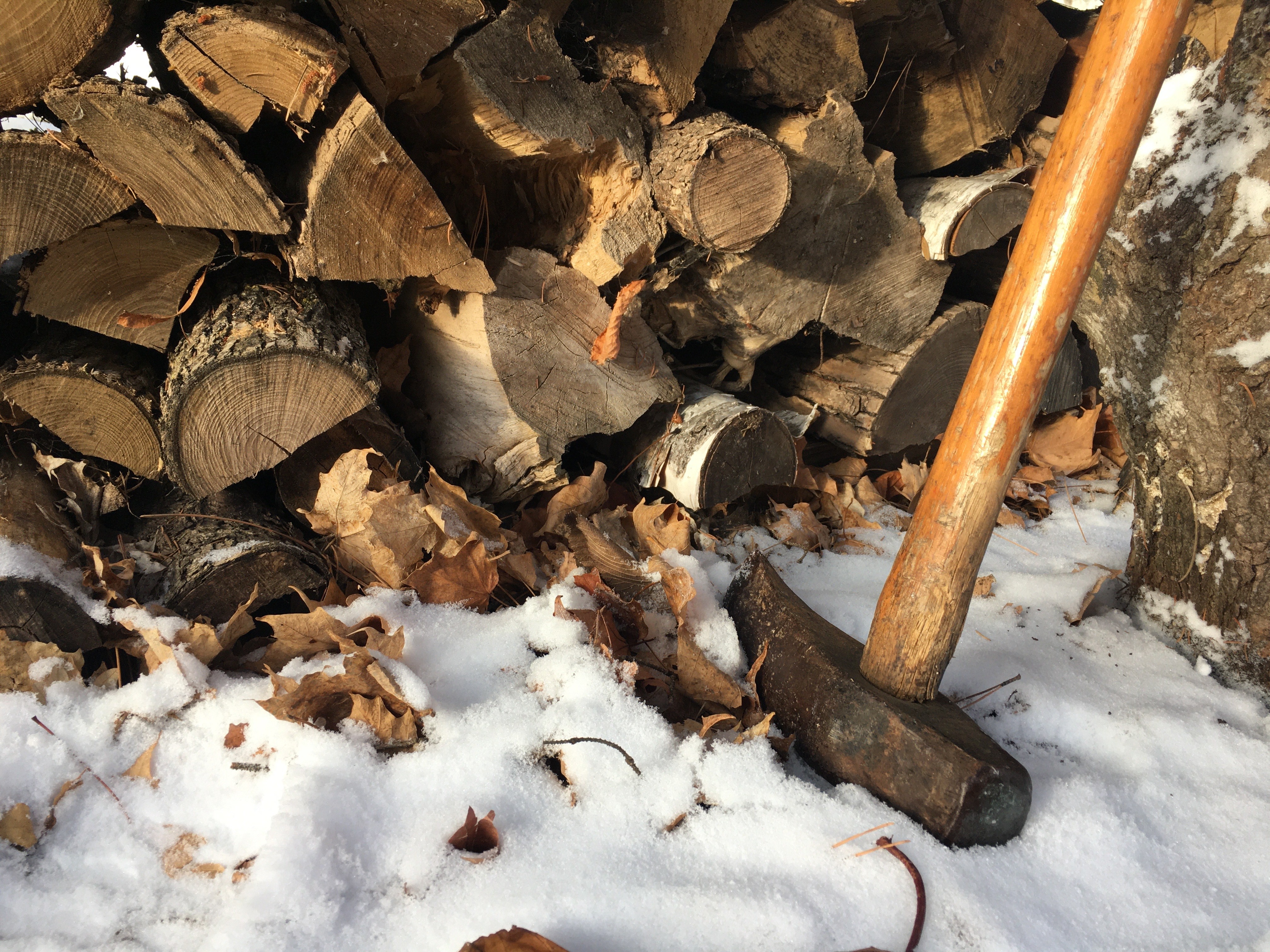 Most hardwood tree species can provide about 8,600 British thermal units of heat per pound. (NDSU photo)