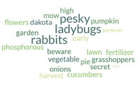 Over the past four years of publication, Dakota Gardener column topics have ranged from roots and earthworms to the best vegetable varieties, proper watering and why leaves change color. (NDSU graphic)
