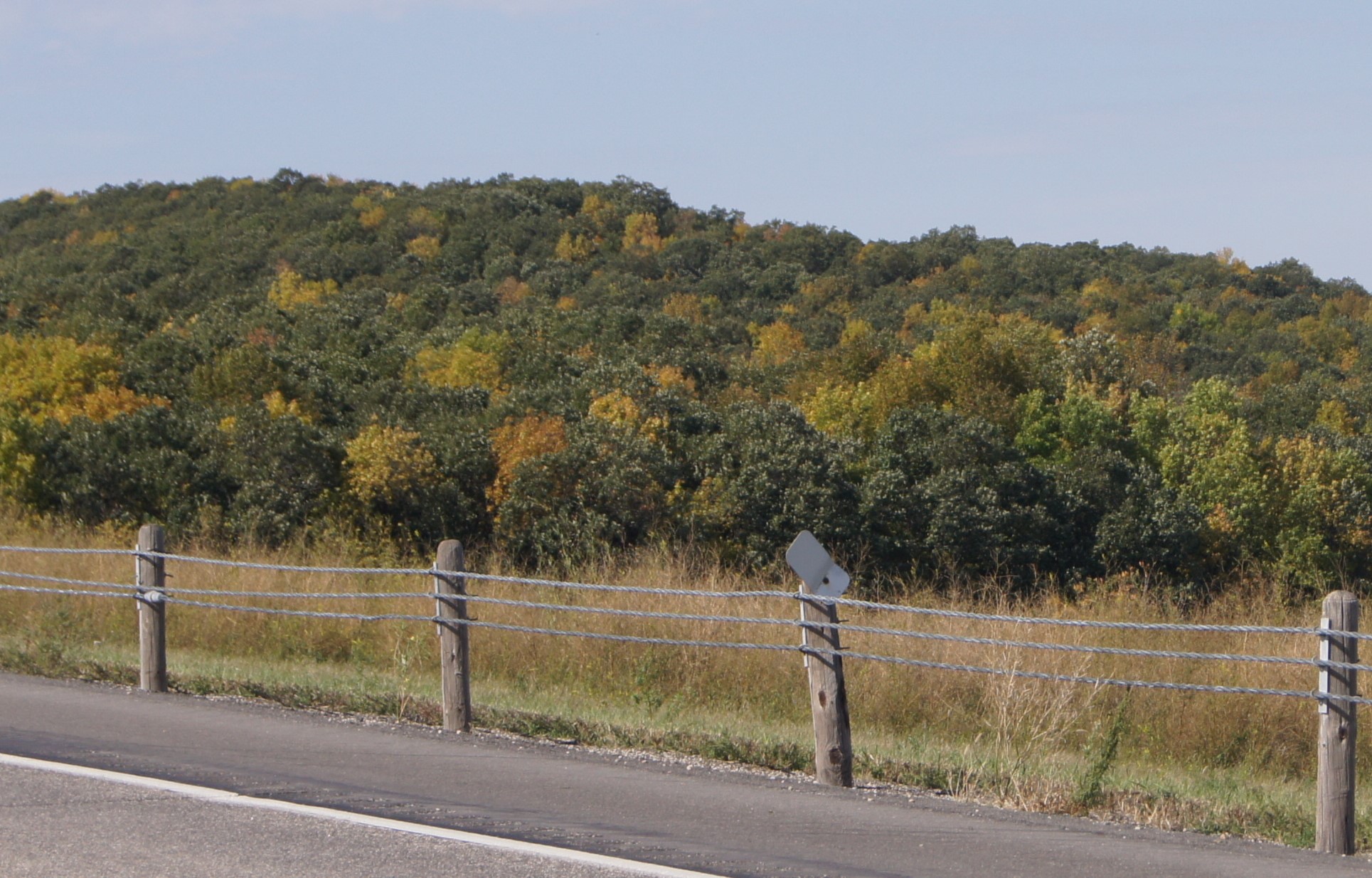 More than 50 townships in North Dakota have some sort of tree-based name. (NDSU photo)