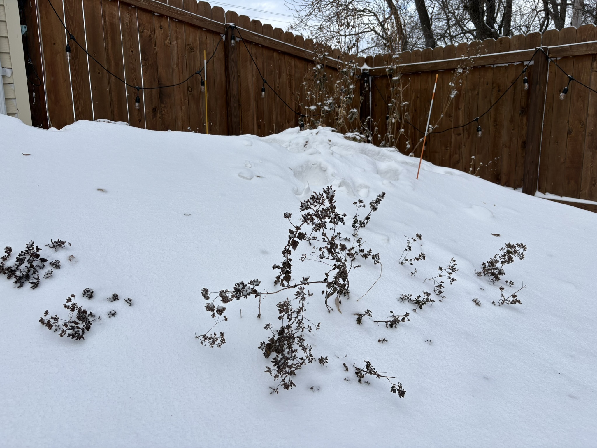 Snow traps heat, helps the soil retain moisture and limits how deeply the frost penetrates the ground. (NDSU photo)