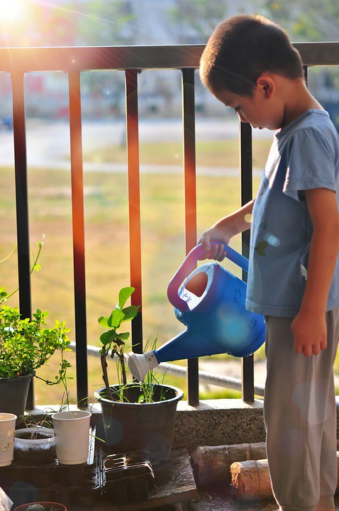 Gardening can be a fun learning experience for kids. (Photo courtesy of Pixabay)