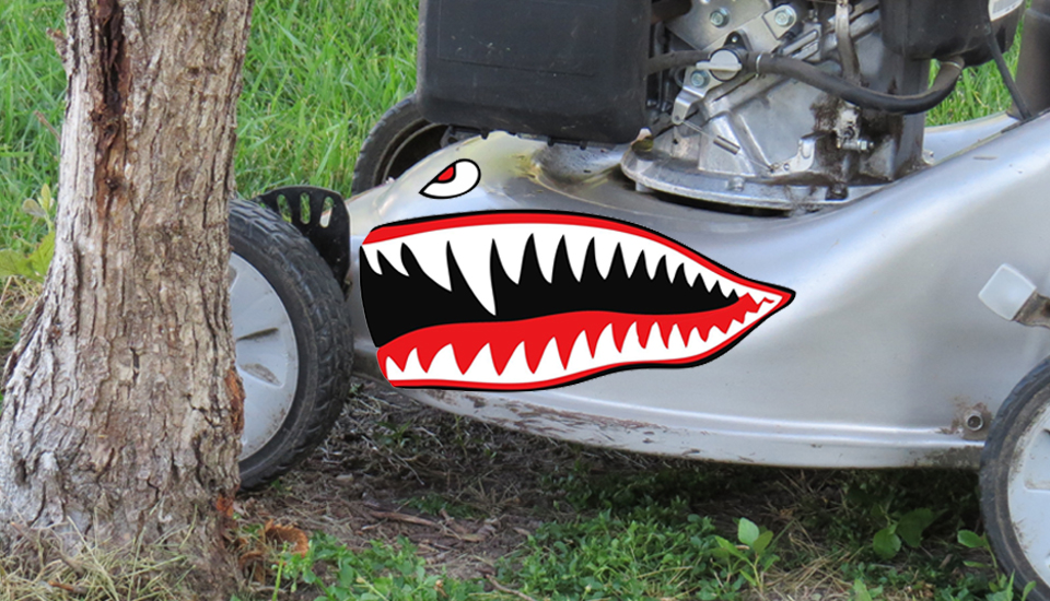 When mowers cause bark damage to trees, the precious layer just beneath the bark where nutrients are carried from the leaves to the roots, may be damaged as well. (NDSU photo)