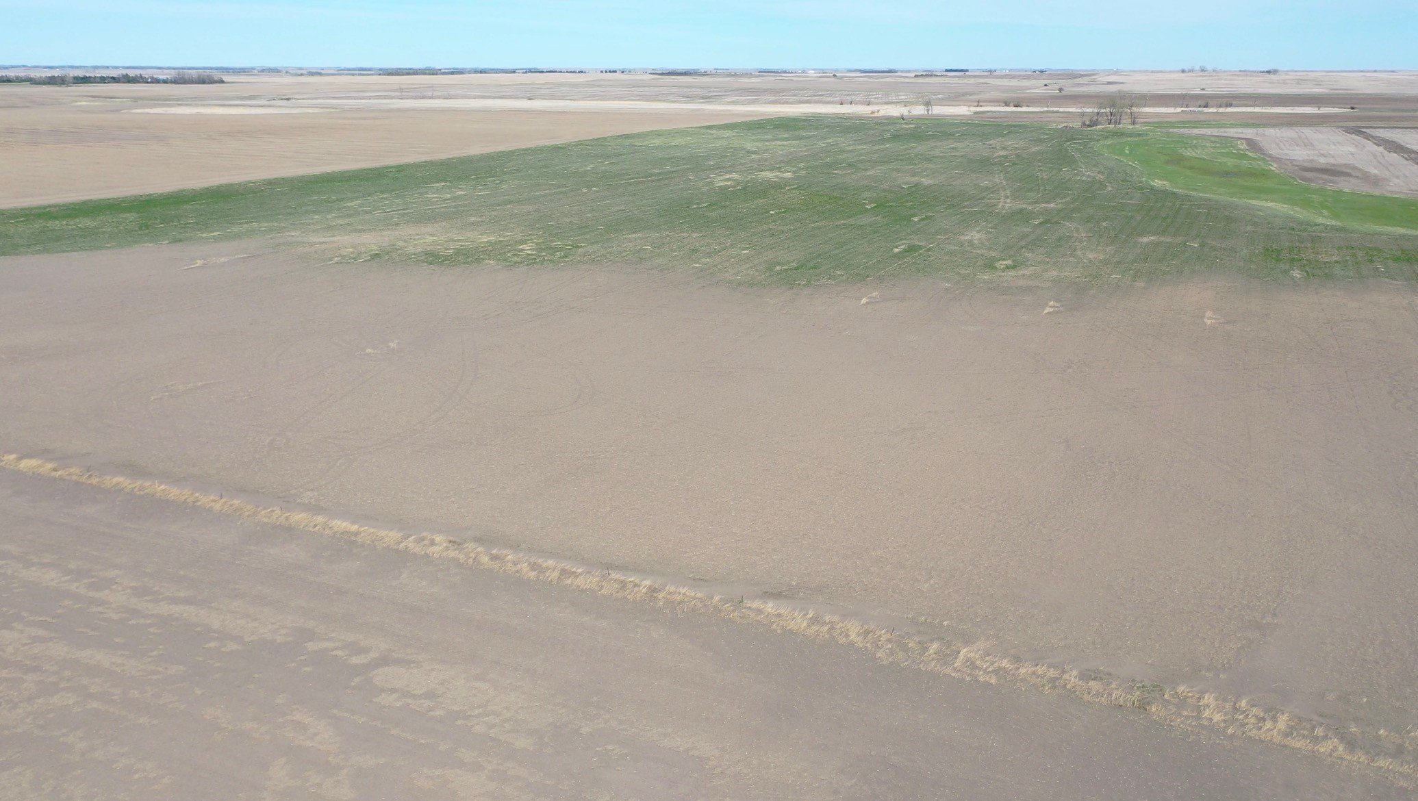 2026 has brought dry conditions in parts of North Dakota. (NDSU photo)