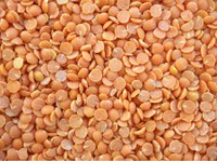 Eating more pulse foods such as lentils can reduce the likelihood of obesity and decrease blood glucose, blood pressure and blood cholesterol. (Photo courtesy of pixabay)