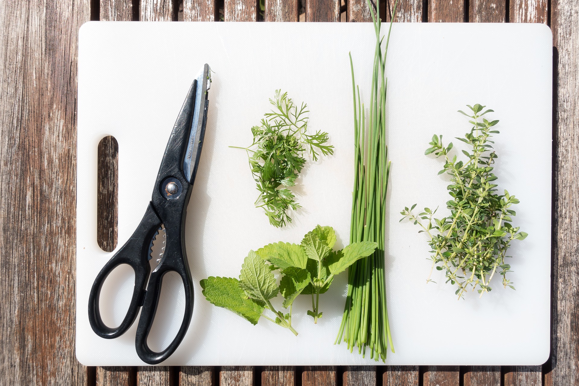 Herbs add flavor and few, if any, calories to a meal. (Photo courtesy of Pixabay)