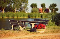 Handle food safely when having a picnic. (Photo courtesy of Pixabay)