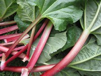 Rhubarb also is known as “pie plant” because it is used in desserts. (Photo courtesy of ulleo at Pixabay)