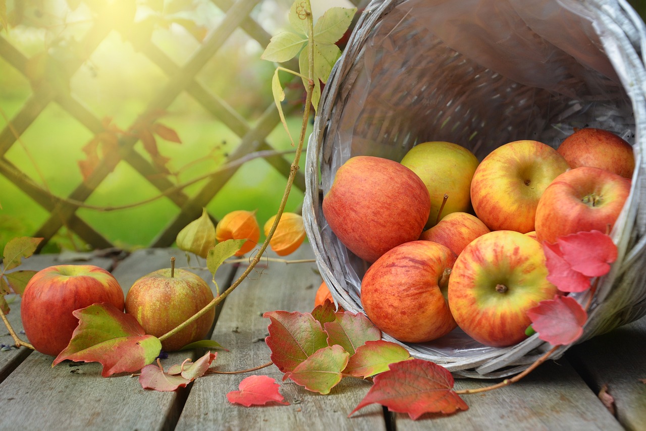 Apples have many attributes that can contribute to good health and a flavorful menu. (Pixabay photo)