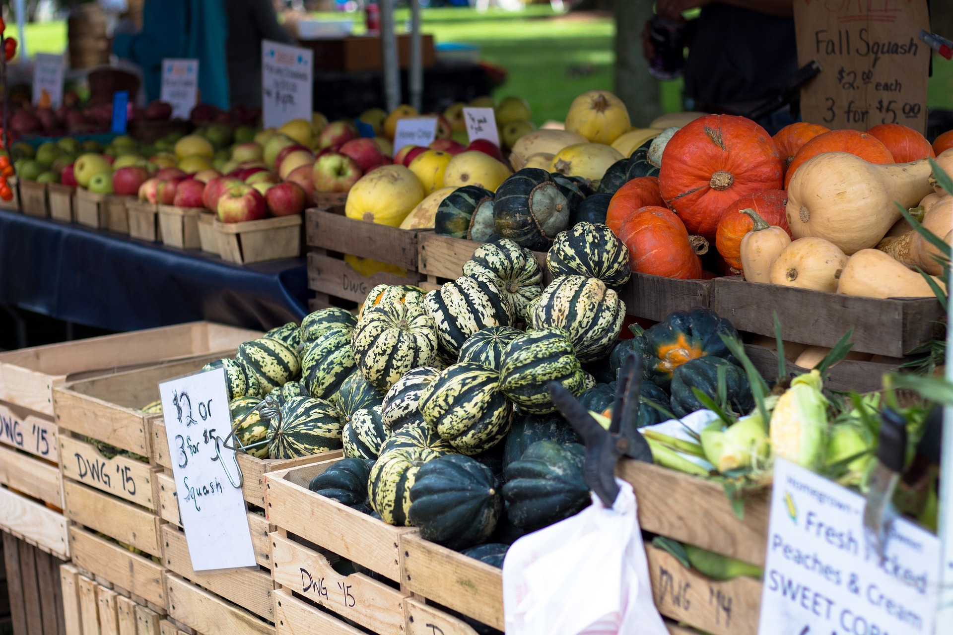 Local foods tend to be more nutritious and flavorful because the food did not travel far to reach you.