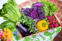 Differently colored produce supplies your body with various disease-preventing vitamins. (Pixabay photo)