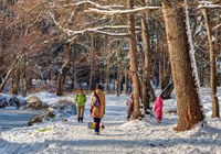 Despite the winter weather, you can enjoy some physical activity outdoors. (Photo courtesy of koan, morgueFile)