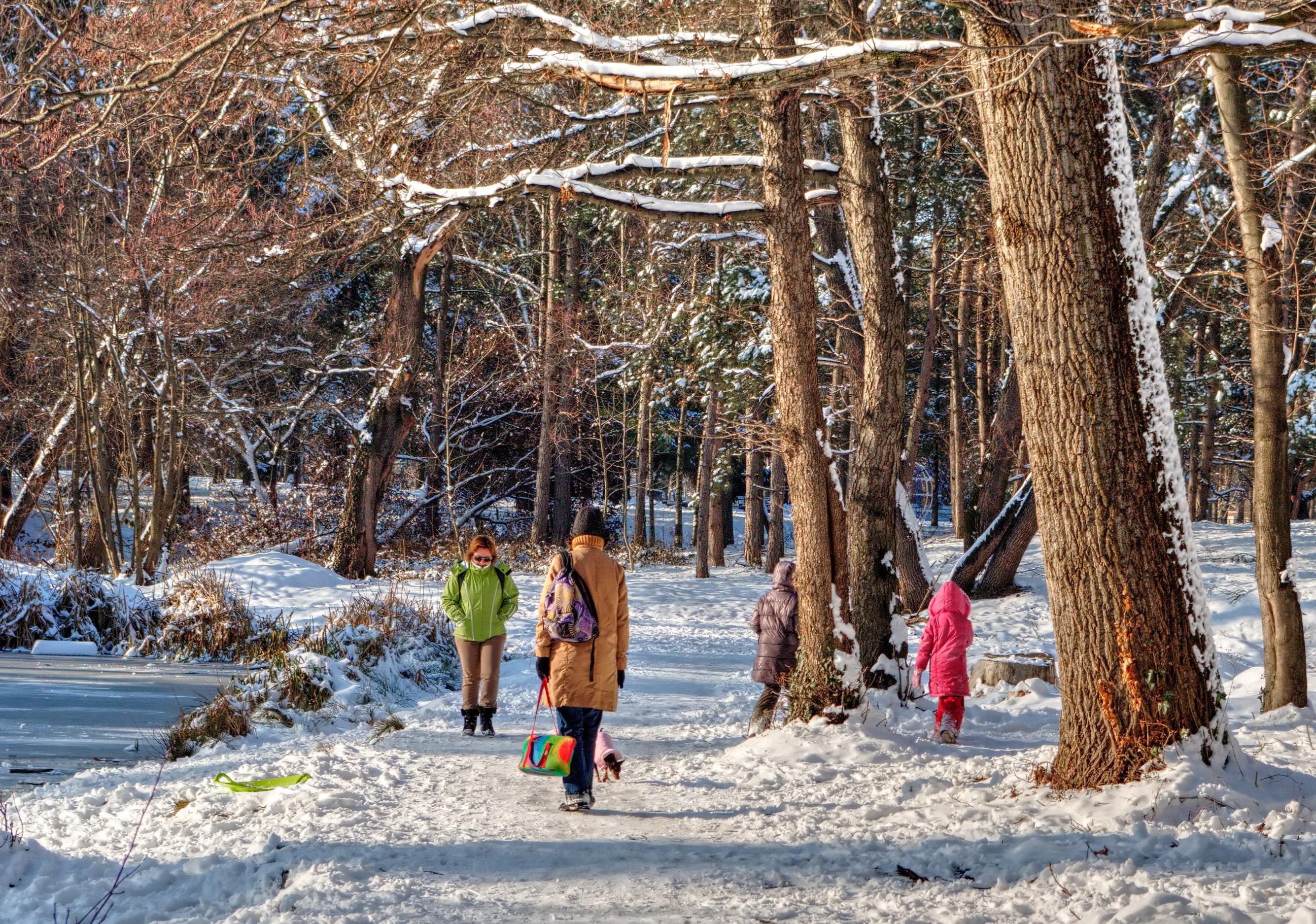 Despite the winter weather, you can enjoy some physical activity outdoors. (Photo courtesy of koan, morgueFile)