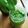 We can grow basil indoors or outdoors, and it will produce prolific amounts of fragrant leaves with adequate sunlight and water. (Photo courtesy of Pixabay)