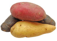 Potatoes provide many essential vitamins and minerals, especially vitamin C and potassium. (Pixabay photo)