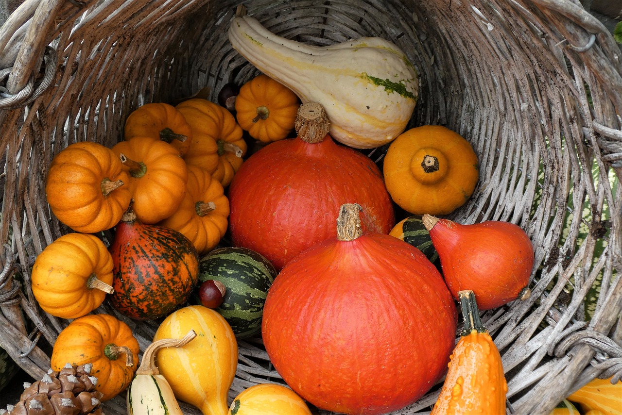 The orange flesh of squash signals they are a good source of beta-carotene. (Pixabay photo)