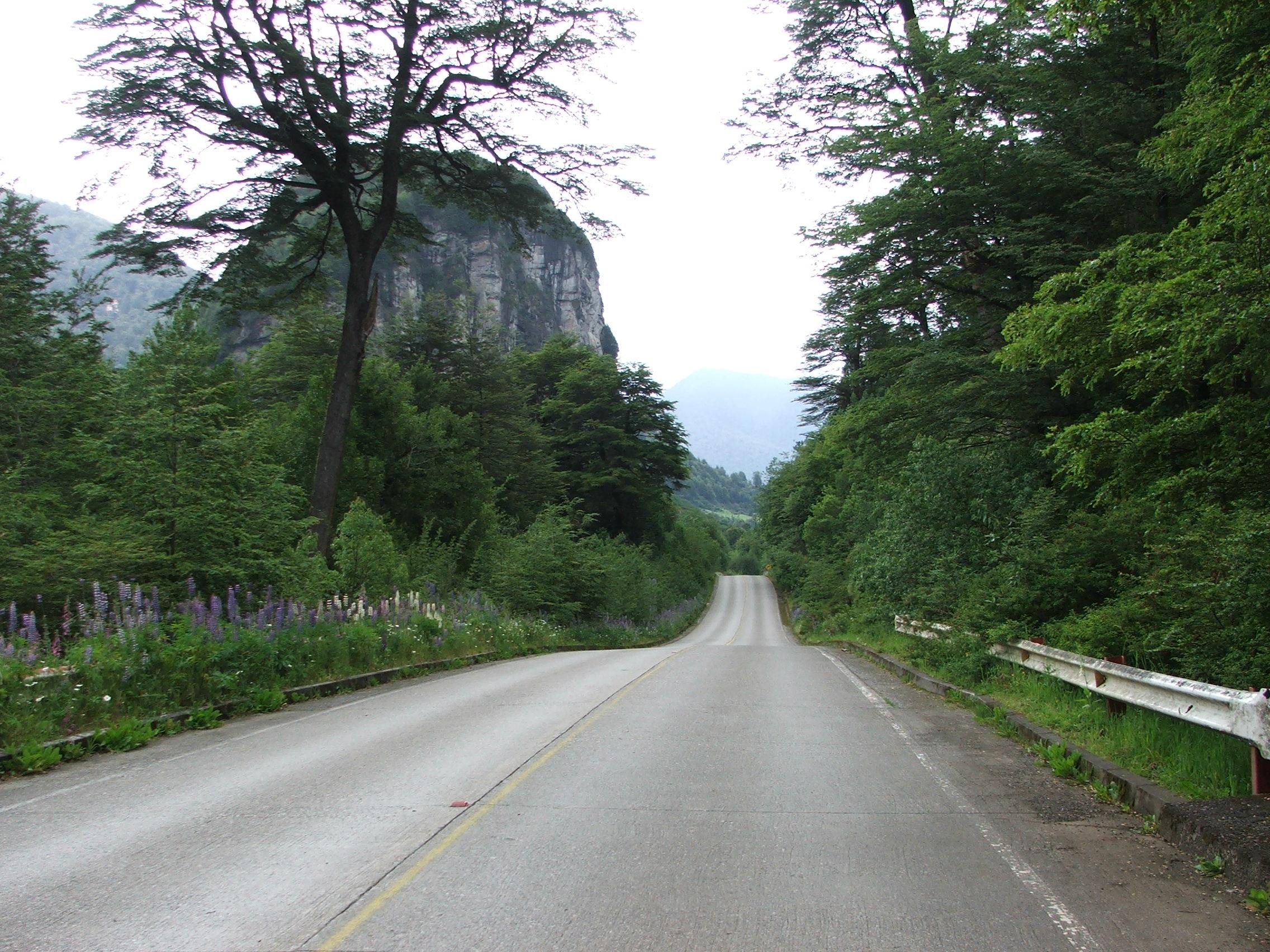 When on a road trip, take plenty of breaks to leave the vehicle and stretch and walk. (Photo courtesy of Alexandre Henry Alves, Morguefile)