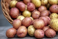 Potatoes provide several important nutrients, including potassium, complex carbohydrates, vitamin C and fiber. (Photo courtesy of Pixabay)