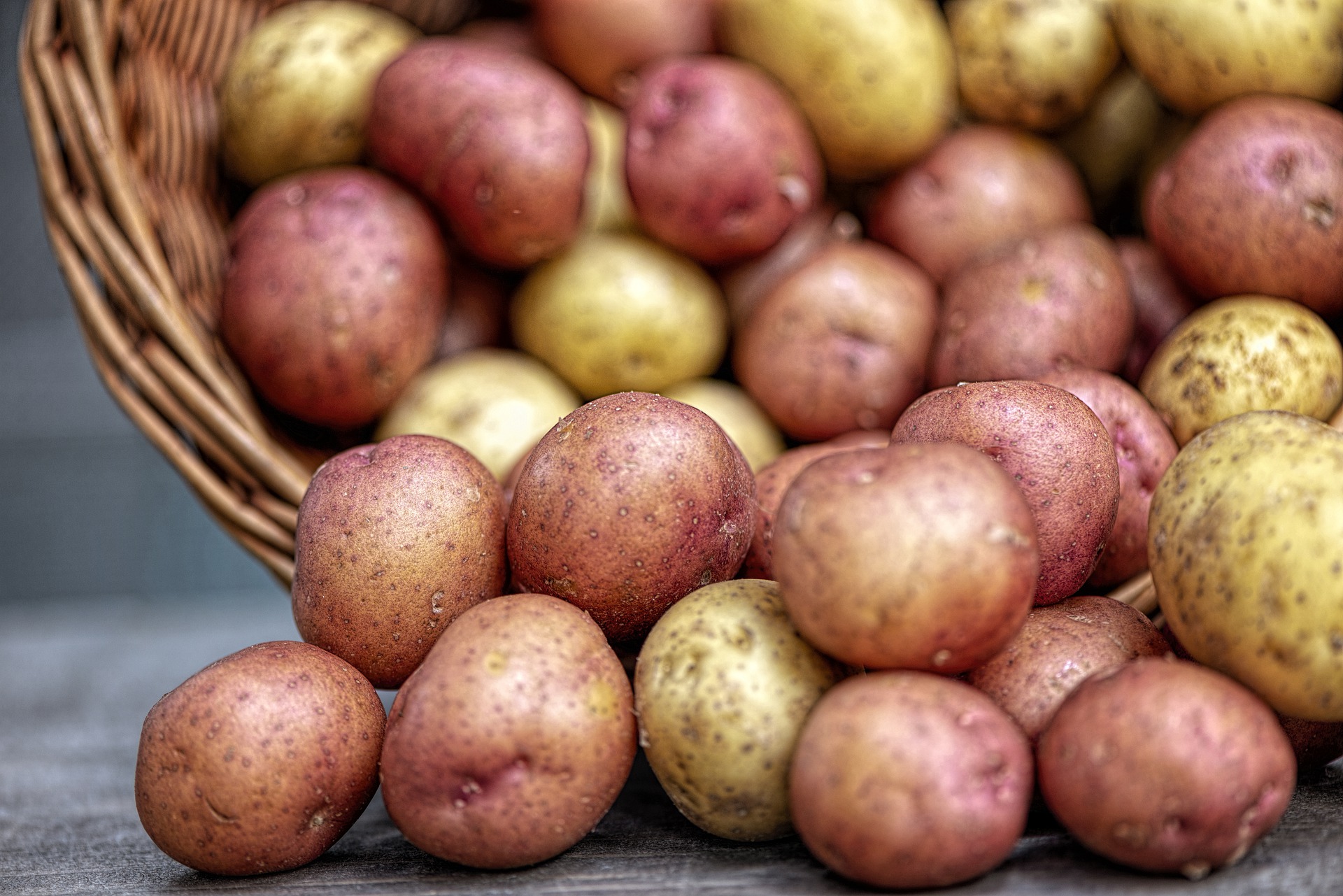 Potatoes provide several important nutrients, including potassium, complex carbohydrates, vitamin C and fiber. (Photo courtesy of Pixabay)