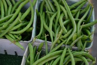When selecting fresh green beans, look for beans that are deep green and straight, and snap easily.