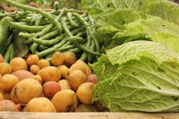 Running water and a vegetable brush are effective in removing soil, germs, and other residues from potatoes and other produce. (Pixabay photo)