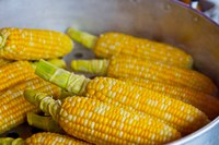 To blanch corn on the cob, bring water to a boil, add the cobs and then begin the timing process when the water begins boiling again. (Pixabay photo)