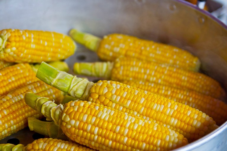 To blanch corn on the cob, bring water to a boil, add the cobs and then begin the timing process when the water begins boiling again. (Pixabay photo)