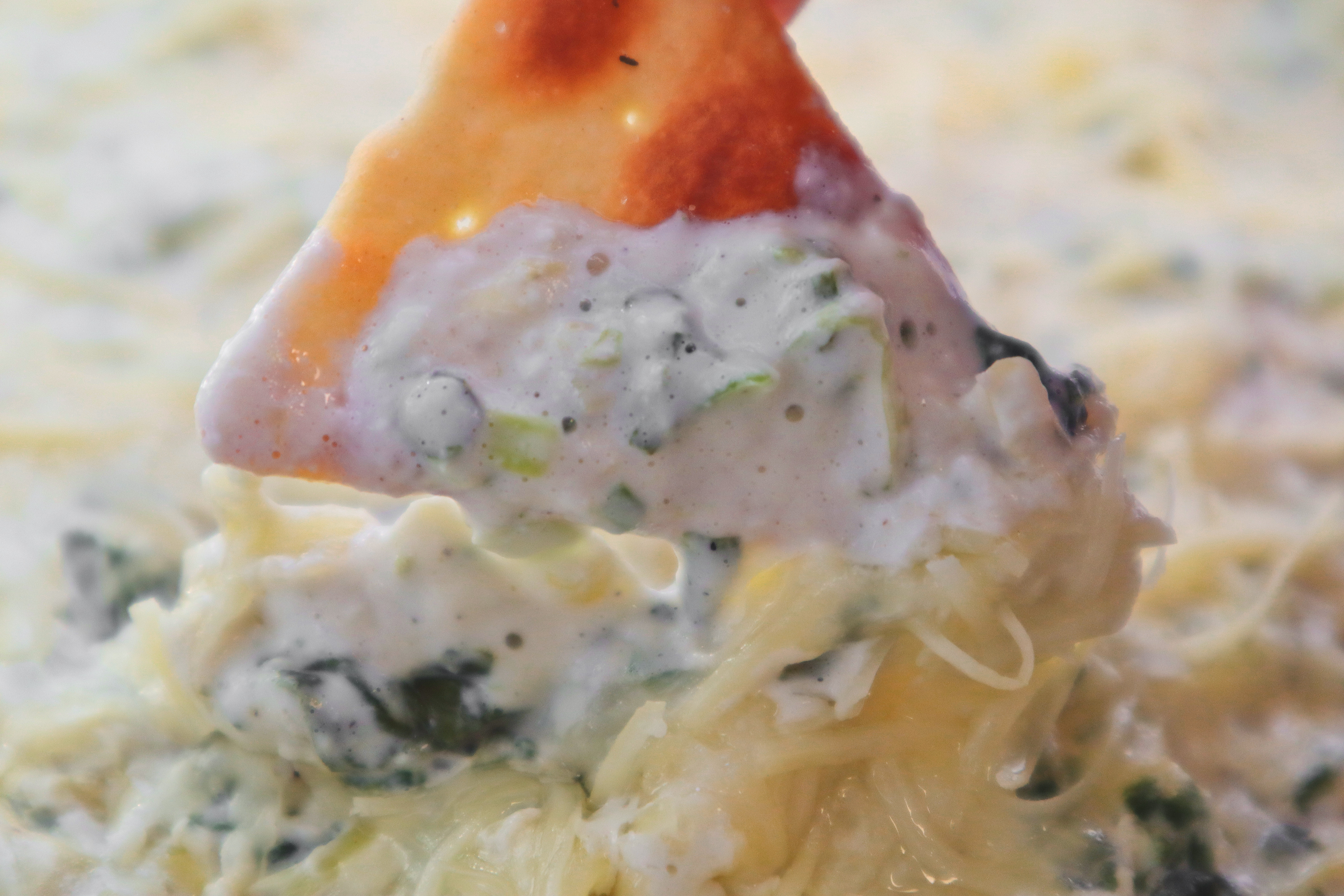 The soy-based tofu in this spinach artichoke dip is rich in protein. (NDSU photo)