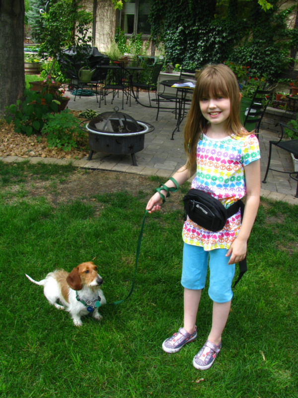 Walking the dog may help you reduce your risk of some chronic diseases and improve your mental health. (NDSU photo)