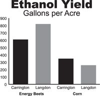 Trials at the Langdon and Carrington Research Extension Centers indicate energy beets could be a competitive crop in these areas.