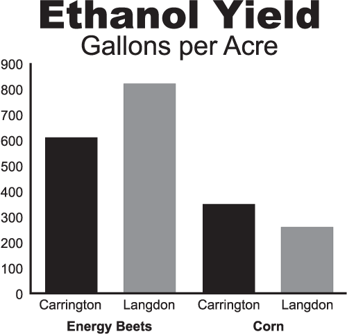 Trials at the Langdon and Carrington Research Extension Centers indicate energy beets could be a competitive crop in these areas.