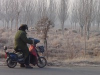 An Inner Mongolian shepherd watches over his flock on a foggy day near the Yellow River.