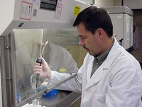 Extension dairy specialist J.W. Schroeder is conducting research on mammary cell development.
