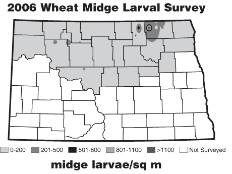 2006 Wheat Midge Larval Survey North Dakota