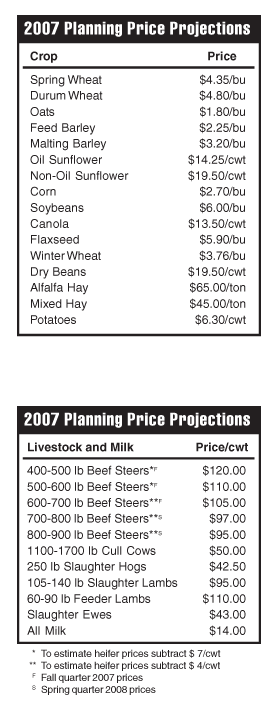 2007 Planning Price Projections