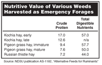 Nutritive Value of Various Weeds Harvested as Emergency Forages
