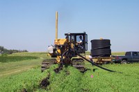 Main line at research plot