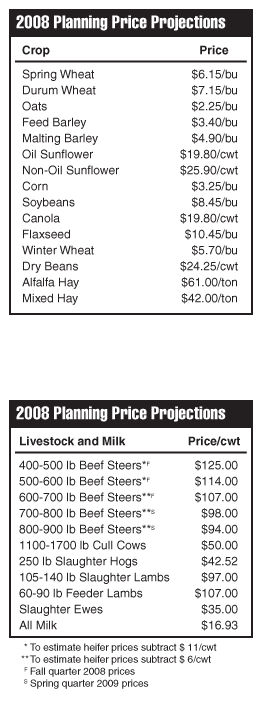 2008 Planning Price Projections