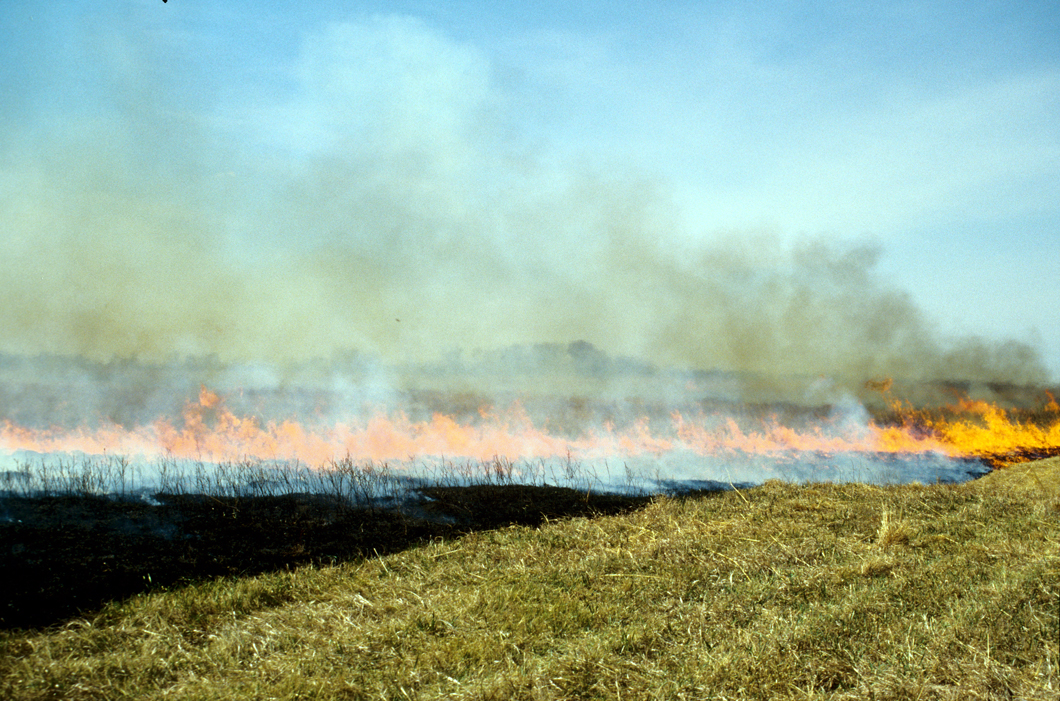 Rangeland goes up in smoke in this wildfire in southeastern North Dakota.